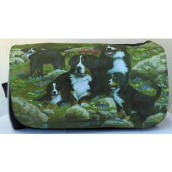 Berner 3 travel bag